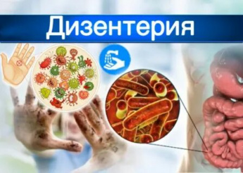Профилактика дизентерии